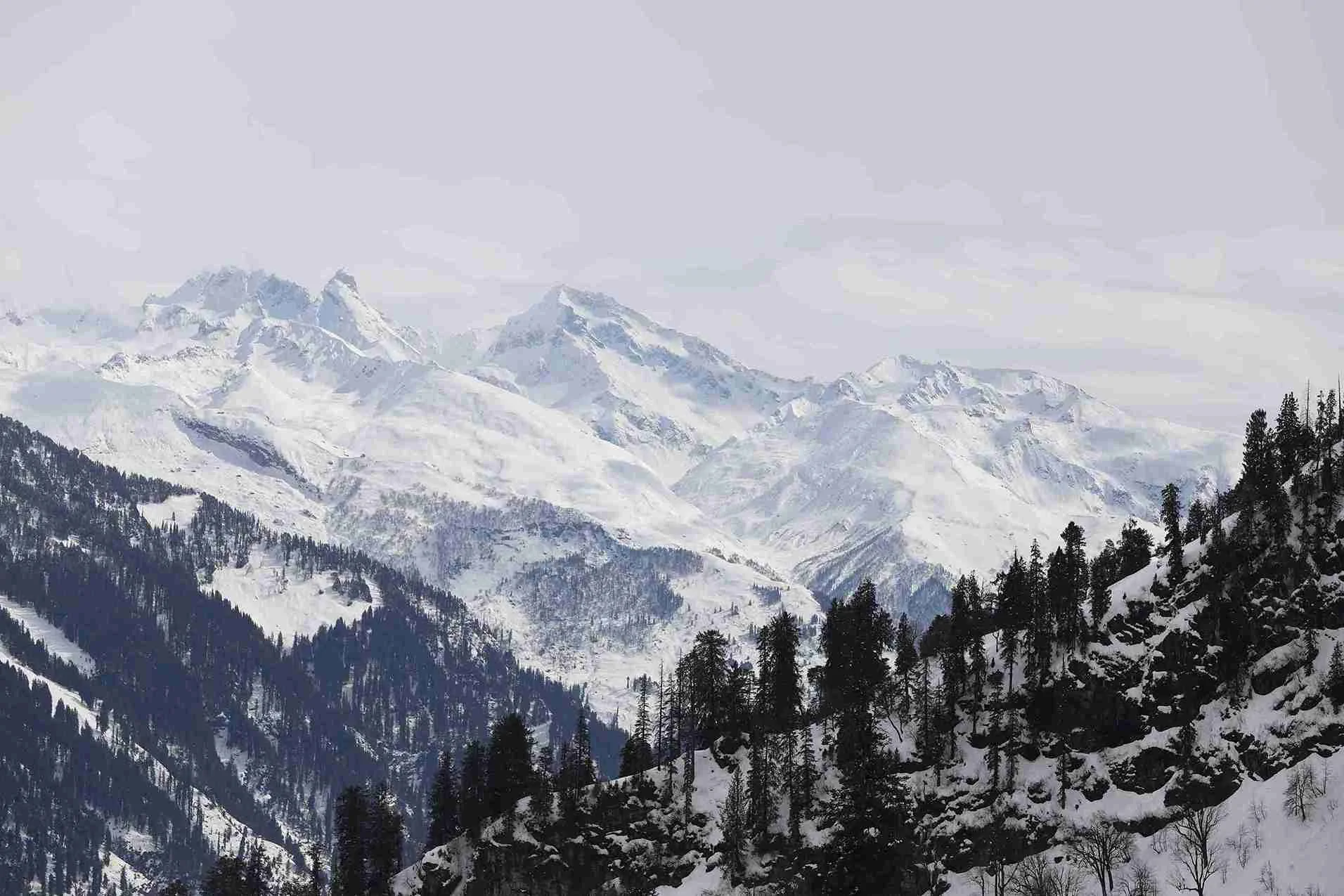 North Indian Tour